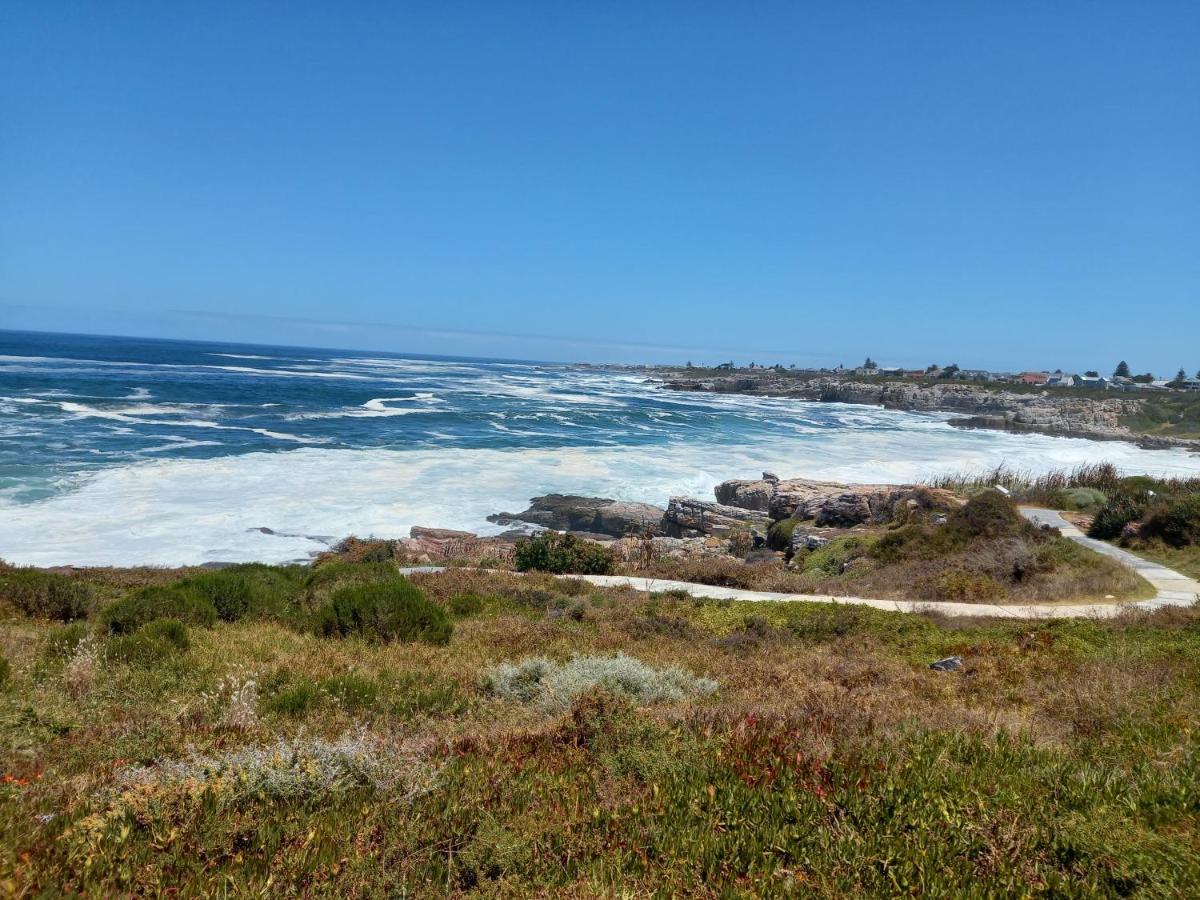 The Sun, Whales & Waves - Seafront Apartment Hermanus Zewnętrze zdjęcie