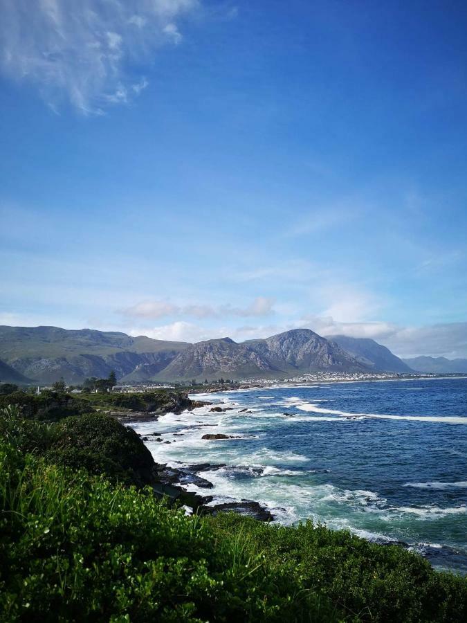 The Sun, Whales & Waves - Seafront Apartment Hermanus Zewnętrze zdjęcie